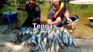 tengas sungai paka ep2