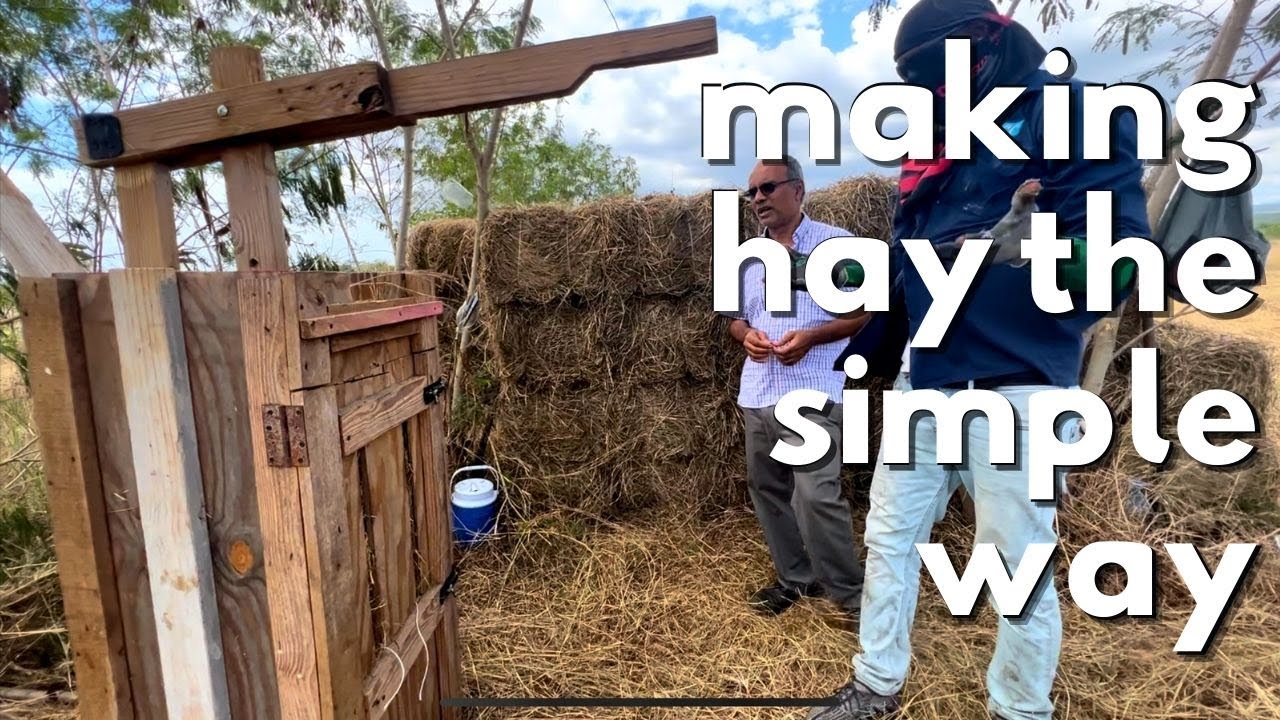 MAKING HAY THE SIMPLE WAY || INNOVATIVE AND EFFECTIVE TECHNIQUE FOR ...