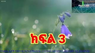 ክፍል ሶስት  የሳውዲ ሰቶች እውነተኛ ትረካ