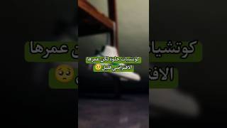 كوتشيات حلوة لكن عمرها الأفتراضي قليل 🥺