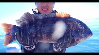 Tautog/Blackfish fishing Rhode Island and some basic tips | 罗德岛钓黑斑的一些小经验分享