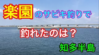 楽園のサビキ釣りで釣れたのは？知多半島