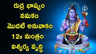 రుద్ర భాష్యం 12వ మంత్రం ఐశ్యర్య వృద్ధి | Sri Rudra Bhashyam By Narayana Sastry | Telugu Astrology