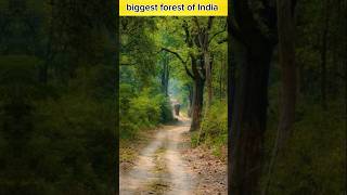 Biggest forest of India 🤔🤔#facts #shorts #viral