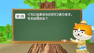 知るほど！なるほど！にいがた　お魚クイズ