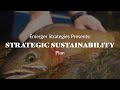 Strategic Sustainability Plan