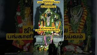 ஜிலகரராஜுலு பங்காளிகள் குலதெய்வம் . ஸ்ரீ தேவி பூதேவி உடனுறை ஸ்ரீ சுந்தர்ராஜ பெருமாள். கணக்கன்பட்டி.