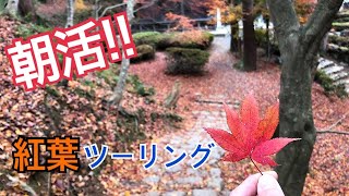 【モトブログ】♯2　朝活で、紅葉見に行ってきた！【バイク女子】