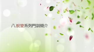 认识圣经辅导 | 八. 蜕变系列门训简介