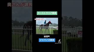 #オーストラリア競馬 #海外競馬 #オーストラリアで馬主に #共有馬主 #一口馬主 #ジャパノズ厩舎