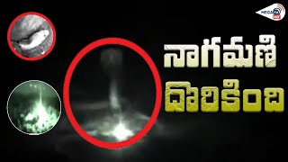 Real Nagamani Original Video on Camera | నాగమణి దర్శనం | MEGA TV HD