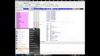 ida pro psx