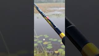 #shorts / അവസാനം കിട്ടിയത് 😱🎣 #fishing