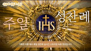 성공회 영등포 성당 거룩한 이름 예수 축일 (2022.1.1) 성찬례