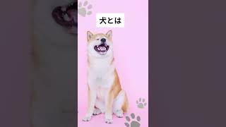 【犬好き】\