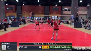 LDVBC Mockingjays vs. PVA 14-1 (2025.01.26)