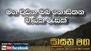 මග වඩන ඔබ නොසිතන බාධක රැසක් Maga wadana oba nosithana badaka reasak