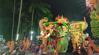 Kalarikkal bhagavathi temple pooram Highlights |കേരളത്തിലെ പ്രമുഖ ആനകൾ |ആന കാഴ്ചകൾ 💥#verelevel