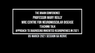 The Brain Conference 2021: Teaching Talk: Mary Reilly