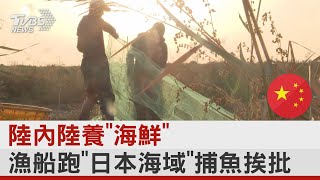 陸禁日海鮮 陸漁船在「日本海域」捕魚 韓媒:雙重標準｜TVBS新聞 @internationalNewsplus