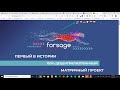 Forsage MetaMask Wallet Tutorial