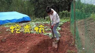 英子不在家，小妹一个人下地干活，这粪坑挖的可真大【农村小英子】