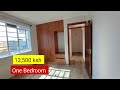 13,500 ksh  Spacious And Affordable One Bedroom Apartment .House Hunting In Nairobi Kenya.