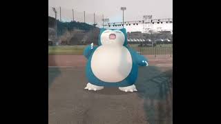 잠만보 ( Snorlax ) カビゴン ( 卡比獸 )