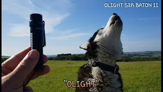 Sherpa the Malamute reviews the Olight S2R Baton II torch/flashlight