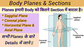 Body planes \u0026 Sections # Sagittal # Coronal # Horizontal/Axial plane #anatomical planes in hindi