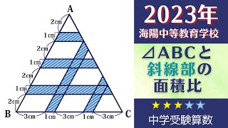 【中学受験算数】平面図形　道の面積　2023年　海陽中等教育学校【最難関クラス/偏差値up】