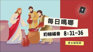 每日嗎哪【約翰福音 第8章31-36節】