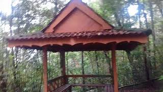 GUNNING JERAI (MOUNT JERAI) FOREST KEDAH PEAK MALAYSIA