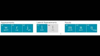 Approximant - Lateral Approximants - Nasal Consonant ( International Phonetic Alphabet )