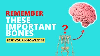 Test your Knowledge of the Human Bones Quiz | Human Anatomy