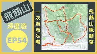 👣咪咁行◤EP54◢⛰️▶九龍行山◀⛰️🔄飛鵝山深度遊🔄日落脊/鸚鵡嘴石/自殺崖/倚天脊/倒靴脊/仙人曬靴石/象山/328梯級/飛鵝南脊/A字崖/鵝肚棧道