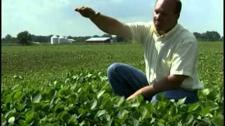 Meet Allen Armstrong: A Soybean Farmer from South Charleston, Ohio