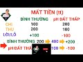 khi ph Đất thấp Đất chua bạn mất bao nhiêu tiền lương hồng sơn