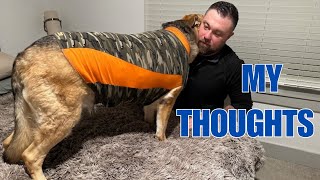 Does the Thundershirt Really Work for Dog Anxiety? My Honest Review (2024 Update)