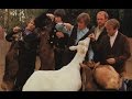 The Beach Boys -The Making of Pet Sounds
