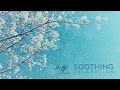 9 Hours Of Relaxing Sleep Music Calm Piano Music Sleeping Music Fall Asleep Fast ★119
