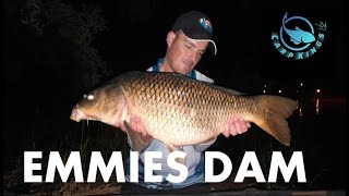 Carp Kings at Emmarentia Dam