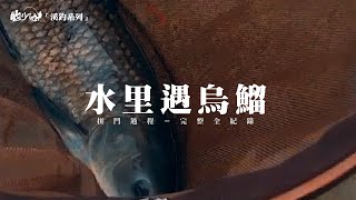 [ 釣りバカ釣魚笨蛋 ] - 20231017水里溪遇烏鰡 初心搏魚  #水里溪 #本流 新手拉#烏鰡 全程紀錄