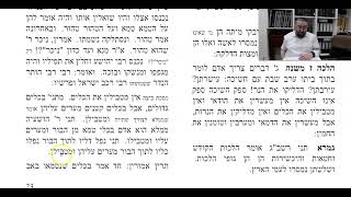 Yerushalmi - Masechet Shabbos Daf 25a to 26b תלמוד ירושלמי Harav Yitzchok Chaim Dovid Cohen