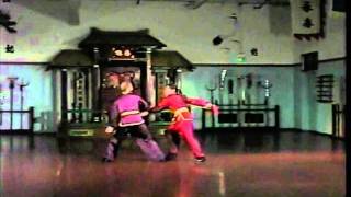 Bak Sil Lum (Northern Shaolin) - Empty Hand Vs. Double Daggers Sample