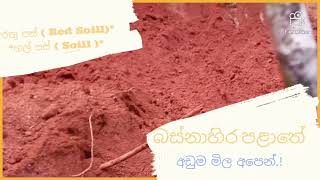 රතු පස් ( Red Soill ) - ගල් පස් ( Soill )