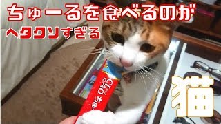 ちゅーるを食べるのが下手すぎる猫