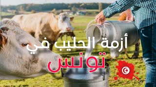 أزمة حليب في تونس و صعوبات  تربية الأبقار #حليب #تونس