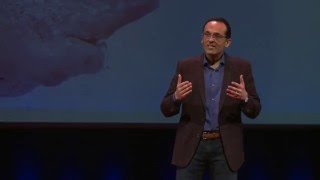 Improving Healthcare: Straight from the Heart | Sanjay Saint | TEDxUofM