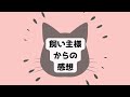 【よく怪我をするのはどうして？】 アニマルコミュニケーション 猫